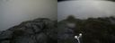 ./images/calvert/buxton2/20190812/buxton220190812_170503M.jpg