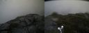 ./images/calvert/buxton2/20190812/buxton220190812_172003M.jpg
