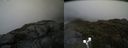 ./images/calvert/buxton2/20190812/buxton220190812_174503M.jpg