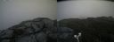 ./images/calvert/buxton2/20190813/buxton220190813_131002M.jpg