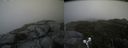 ./images/calvert/buxton2/20190816/buxton220190816_123502M.jpg