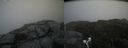 ./images/calvert/buxton2/20190816/buxton220190816_144003M.jpg