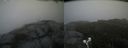 ./images/calvert/buxton2/20190816/buxton220190816_184002M.jpg