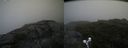 ./images/calvert/buxton2/20190817/buxton220190817_100003M.jpg