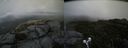./images/calvert/buxton2/20190817/buxton220190817_151002M.jpg