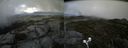 ./images/calvert/buxton2/20190817/buxton220190817_161503M.jpg