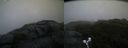 ./images/calvert/buxton2/20190818/buxton220190818_062503M.jpg