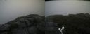 ./images/calvert/buxton2/20190818/buxton220190818_082503M.jpg