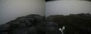 ./images/calvert/buxton2/20190818/buxton220190818_084503M.jpg
