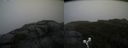 ./images/calvert/buxton2/20190818/buxton220190818_092003M.jpg