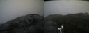 ./images/calvert/buxton2/20190818/buxton220190818_100502M.jpg