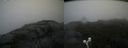 ./images/calvert/buxton2/20190818/buxton220190818_114003M.jpg