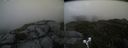 ./images/calvert/buxton2/20190822/buxton220190822_130502M.jpg