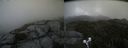 ./images/calvert/buxton2/20190822/buxton220190822_131002M.jpg