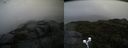 ./images/calvert/buxton2/20190823/buxton220190823_142502M.jpg