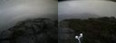 ./images/calvert/buxton2/20190823/buxton220190823_144002M.jpg