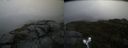 ./images/calvert/buxton2/20190823/buxton220190823_165002M.jpg