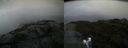 ./images/calvert/buxton2/20190823/buxton220190823_182503M.jpg