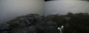 ./images/calvert/buxton2/20190824/buxton220190824_100003M.jpg
