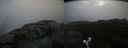 ./images/calvert/buxton2/20190824/buxton220190824_105003M.jpg
