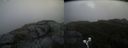 ./images/calvert/buxton2/20190824/buxton220190824_110503M.jpg