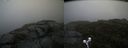 ./images/calvert/buxton2/20190824/buxton220190824_111003M.jpg