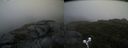 ./images/calvert/buxton2/20190824/buxton220190824_112503M.jpg