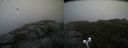 ./images/calvert/buxton2/20190824/buxton220190824_170502M.jpg