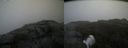 ./images/calvert/buxton2/20190827/buxton220190827_125003M.jpg