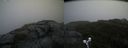 ./images/calvert/buxton2/20190831/buxton220190831_112002M.jpg