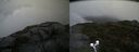 ./images/calvert/buxton2/20190831/buxton220190831_122503M.jpg
