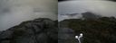 ./images/calvert/buxton2/20190831/buxton220190831_125503M.jpg