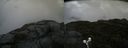 ./images/calvert/buxton2/20190831/buxton220190831_141002M.jpg