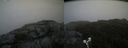 ./images/calvert/buxton2/20190831/buxton220190831_162502M.jpg