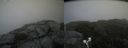 ./images/calvert/buxton2/20190903/buxton220190903_162003M.jpg