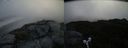 ./images/calvert/buxton2/20190904/buxton220190904_091002M.jpg