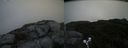 ./images/calvert/buxton2/20190904/buxton220190904_093502M.jpg