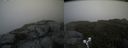 ./images/calvert/buxton2/20190904/buxton220190904_113502M.jpg