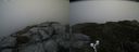 ./images/calvert/buxton2/20190907/buxton220190907_125502M.jpg