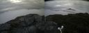 ./images/calvert/buxton2/20190908/buxton220190908_075502M.jpg