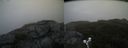 ./images/calvert/buxton2/20190908/buxton220190908_084003M.jpg