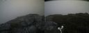 ./images/calvert/buxton2/20190908/buxton220190908_085003M.jpg