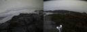 ./images/calvert/buxton2/20190909/buxton220190909_195005M.jpg
