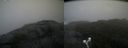 ./images/calvert/buxton2/20190913/buxton220190913_100502M.jpg