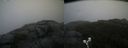./images/calvert/buxton2/20190913/buxton220190913_135505M.jpg