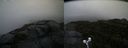 ./images/calvert/buxton2/20190913/buxton220190913_174002M.jpg