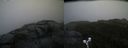 ./images/calvert/buxton2/20190913/buxton220190913_181503M.jpg
