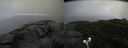 ./images/calvert/buxton2/20190917/buxton220190917_163503M.jpg