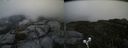 ./images/calvert/buxton2/20190919/buxton220190919_164503M.jpg