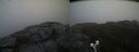 ./images/calvert/buxton2/20190919/buxton220190919_171003M.jpg